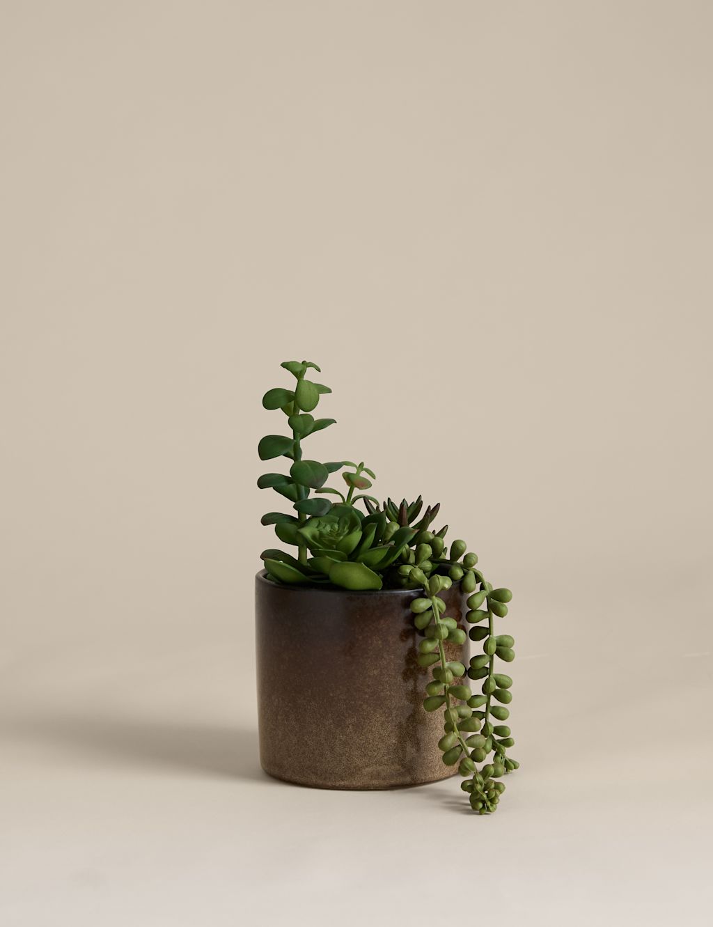 M&S Artificial Succulent Family in Reactive Glaze Pot - Green, Green