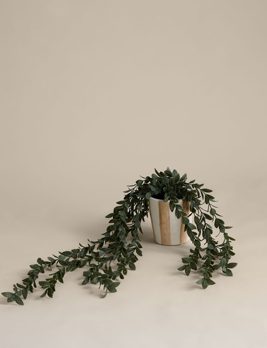 M&S Artificial Trailing Boxwood in Stripe Ceramic Pot - Green, Green