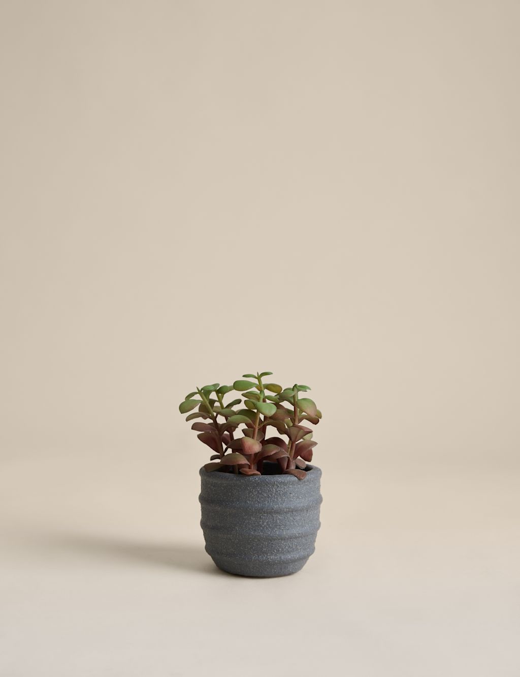 M&S Artificial Mini Succulent in Ridged Concrete Pot - Green, Green