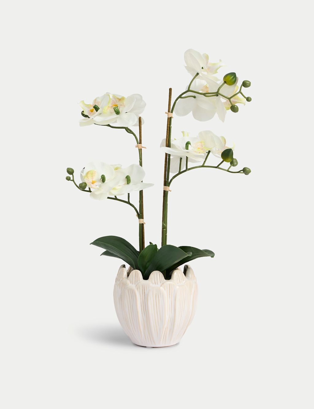 Moss & Sweetpea Artificial Orchid Arrangement in Ceramic Pot - 1SIZE - White, White