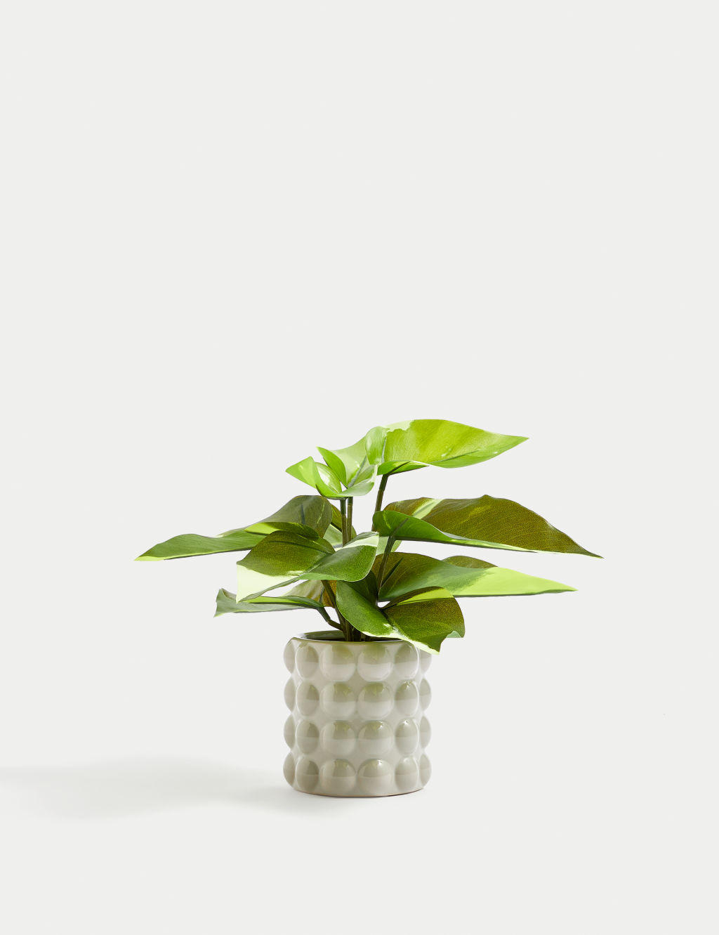 Moss & Sweetpea Artificial Philodendron in Ceramic Pot - 1SIZE - Green, Green