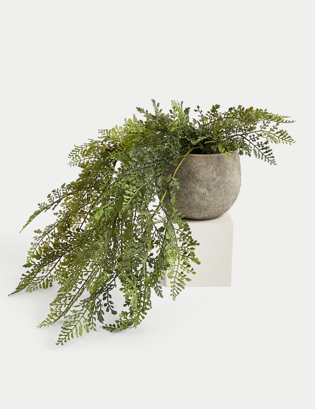 Moss & Sweetpea Artificial Trailing Fern House Plant in Pot - 1SIZE - Green, Green