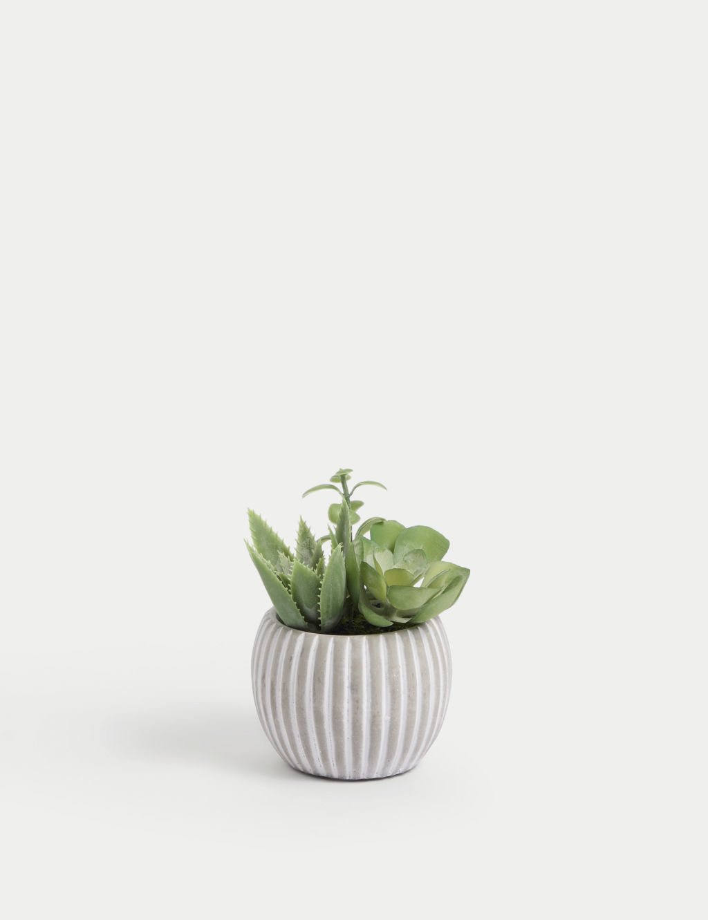 Moss & Sweetpea Artificial Succulents in Cement Pot - 1SIZE - Grey, Grey