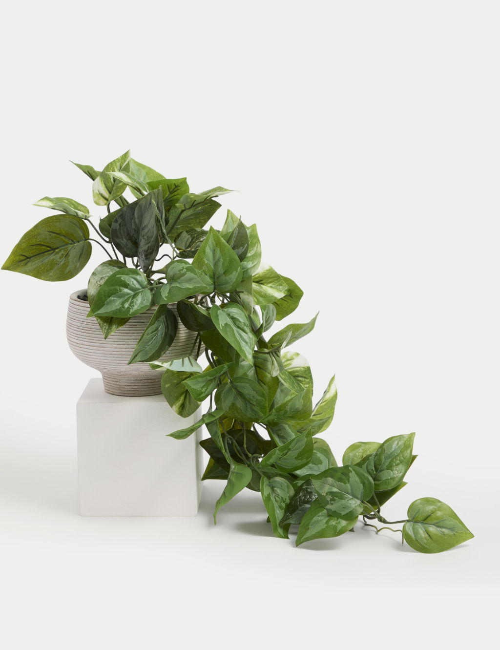 Moss & Sweetpea Artificial Trailing Pothos in Cement Pot - Green, Green