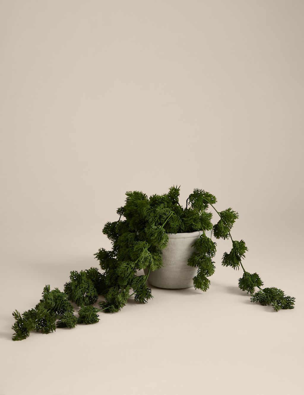 Moss & Sweetpea Artificial Trailing Moss in Concrete Pot - Green, Green