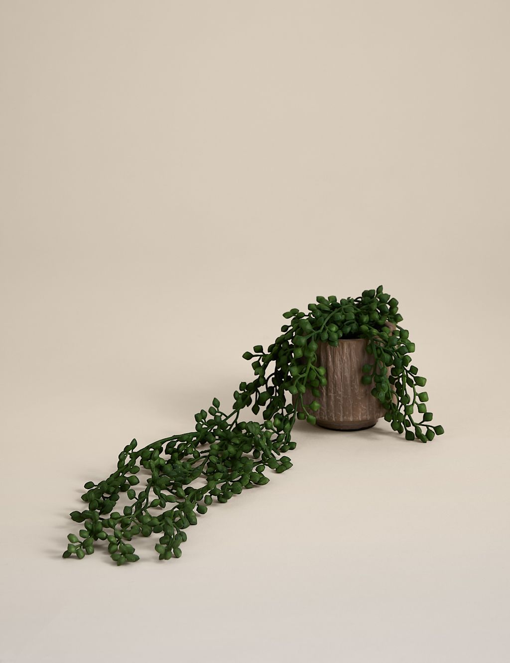 Moss & Sweetpea Artificial String of Pearls in Textured Ceramic Pot - Brown, Brown