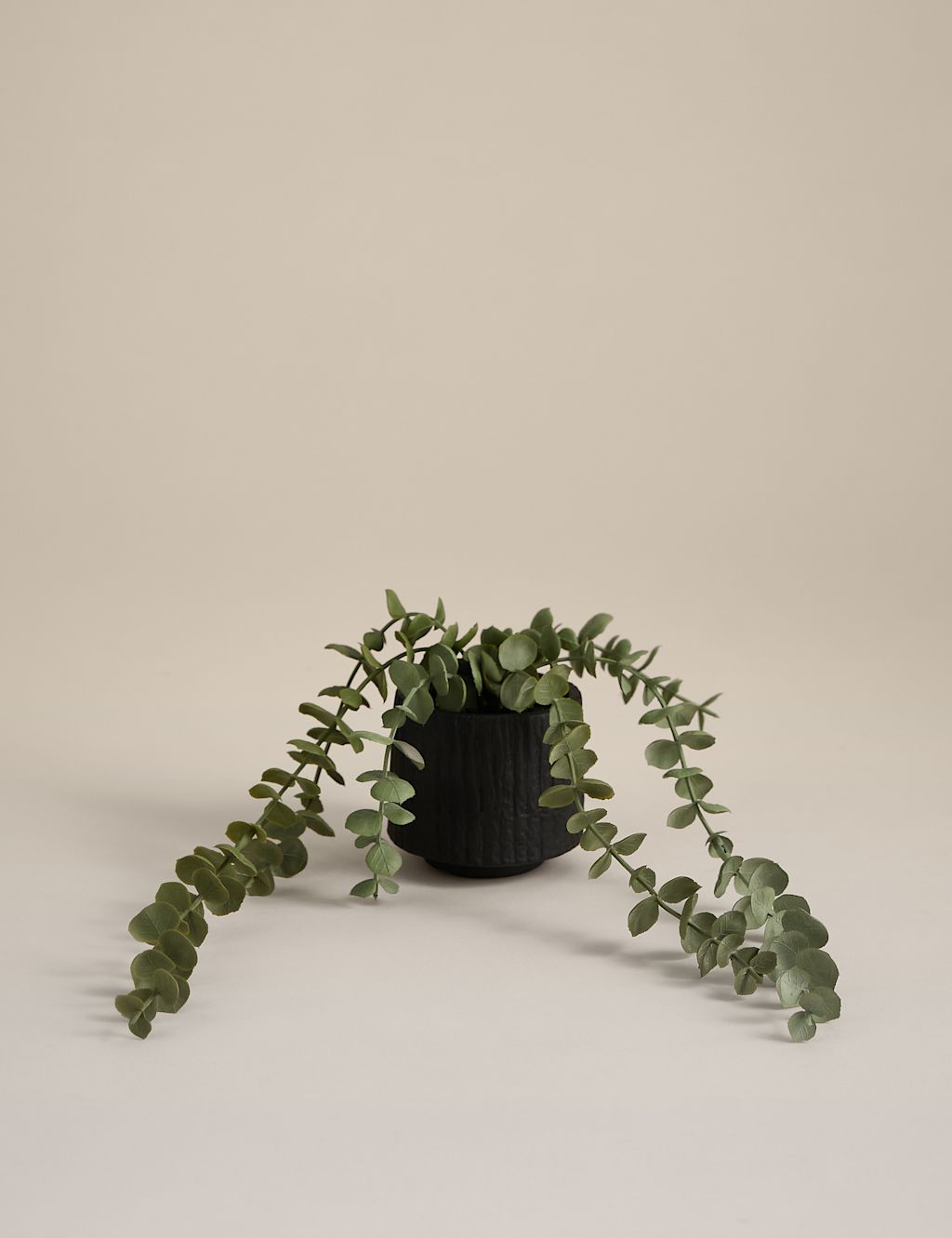Moss & Sweetpea Artificial Trailing Baby Plant in Textured Ceramic Pot - Black, Black