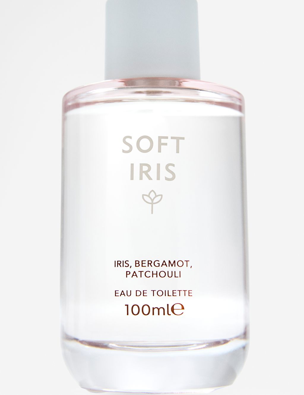 Discover Soft Iris Eau de Toilette 100ml - 100 ml