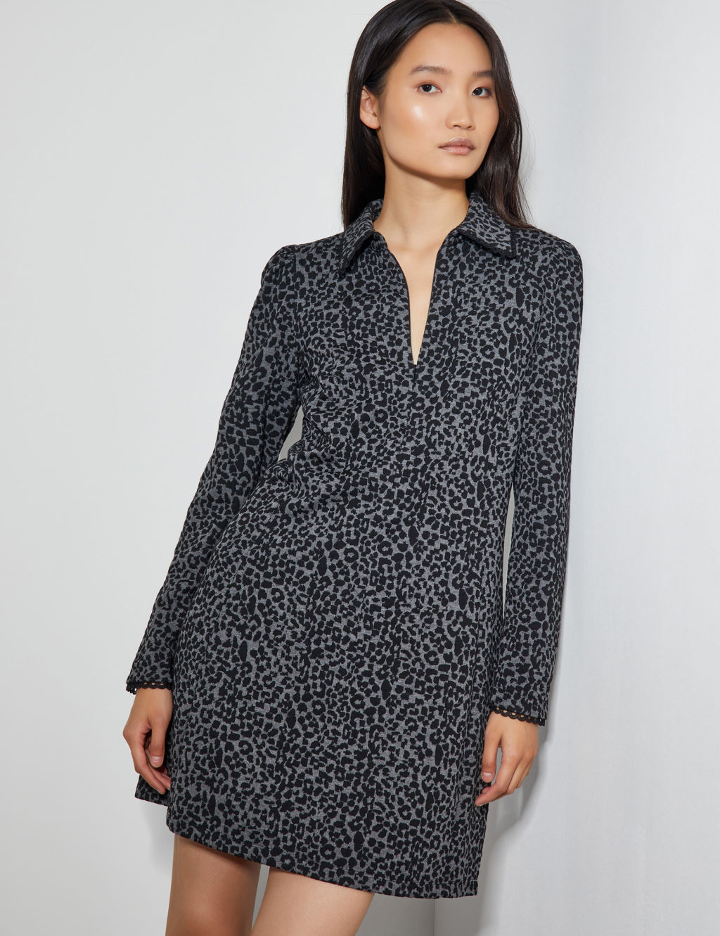 Animal Print Collared Mini Shirt Dress