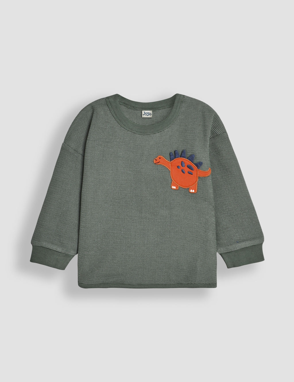 Cotton Rich Dinosaur Appliqué Top (6 Mths - 6 Yrs)