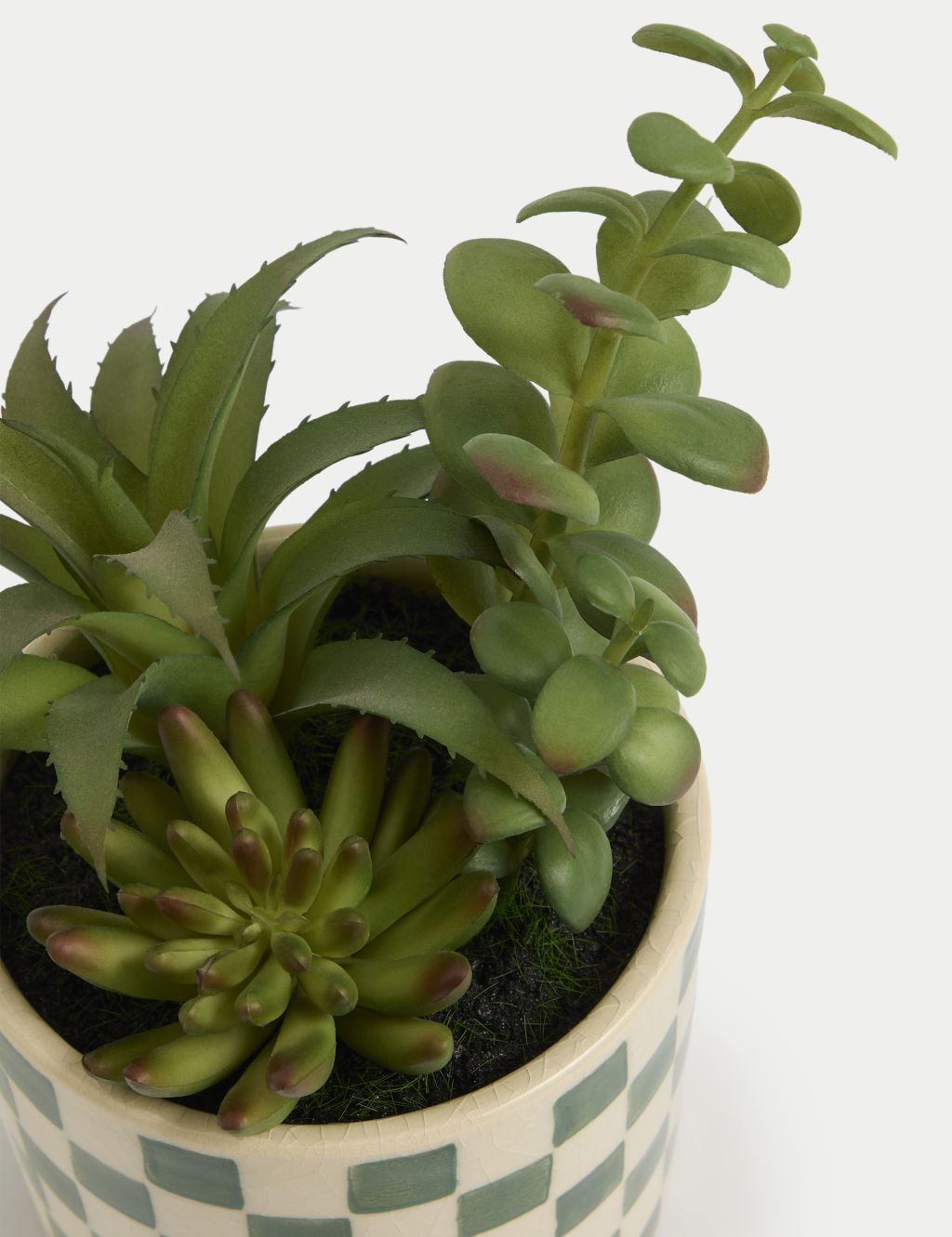 Artificial Succulents in Ceramic Pot 1 of 3