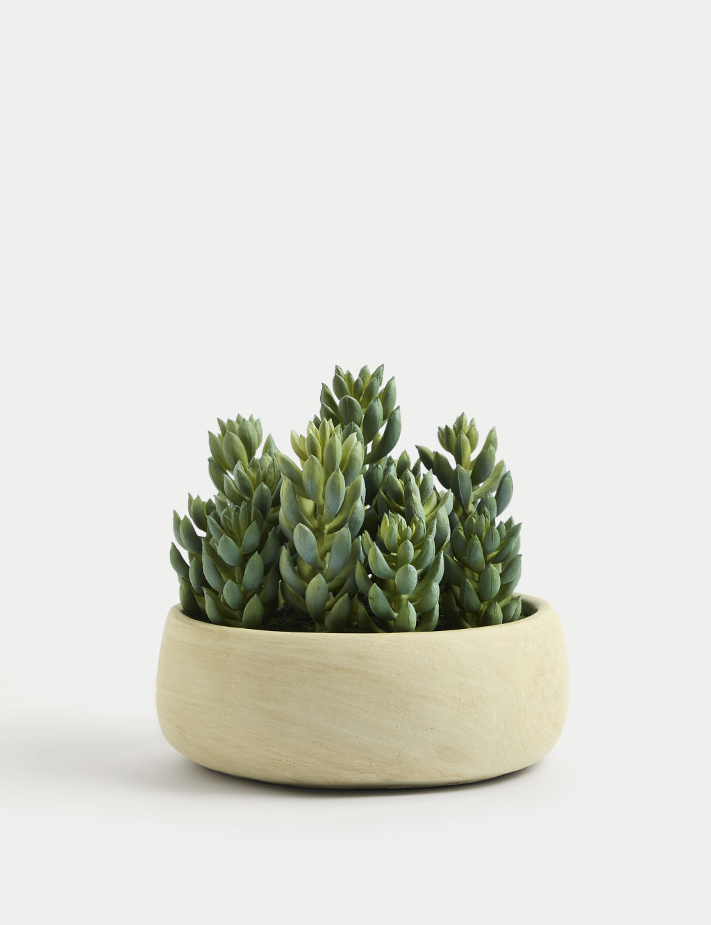 Artificial Succulents in Cement Pot