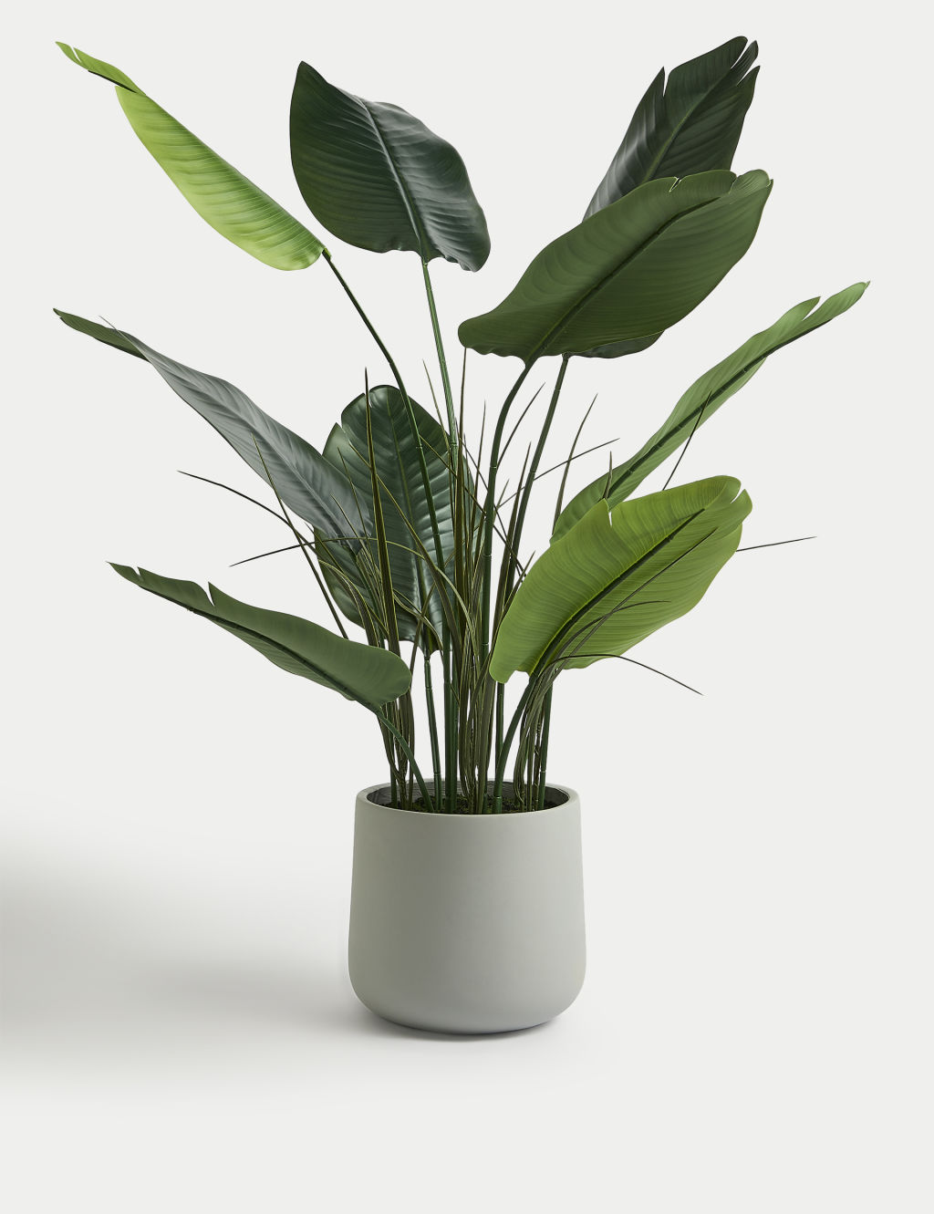 Artificial Large Banana Plant in Concrete Pot