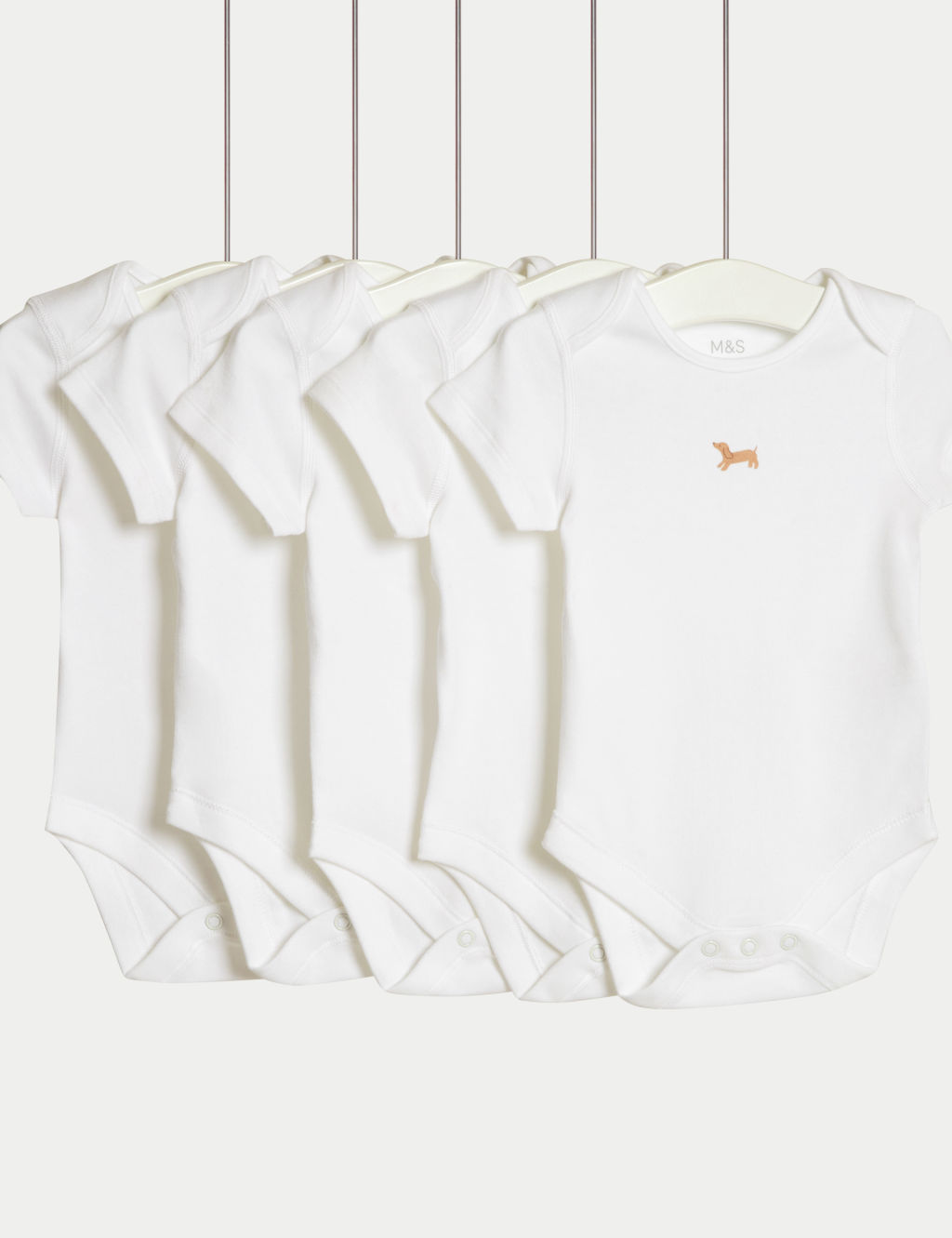 5pk Pure Cotton Motif Bodysuits (6½lbs-3 Yrs)