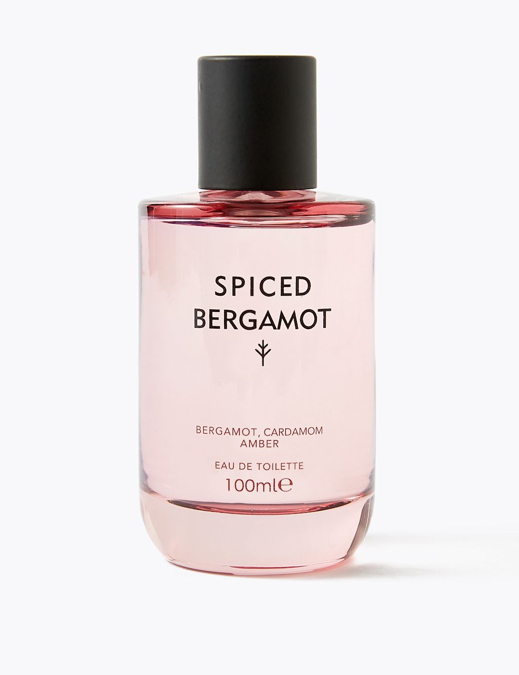 Spiced Bergamot Eau de Toilette 100ml 3 of 9