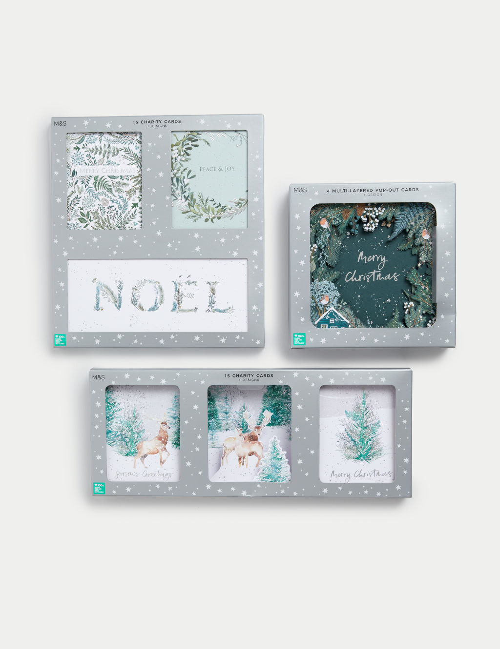 34 Charity Christmas Cards - Winter Foliage Designs