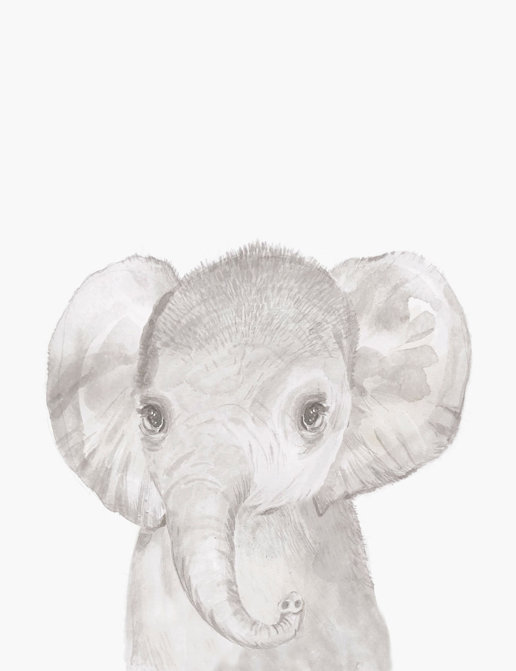 Welcome to the World Wall Art - Elephant
