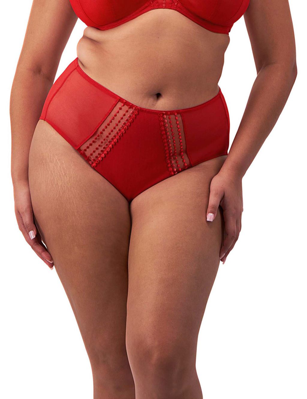 Matilda Embroidered High Waisted Briefs