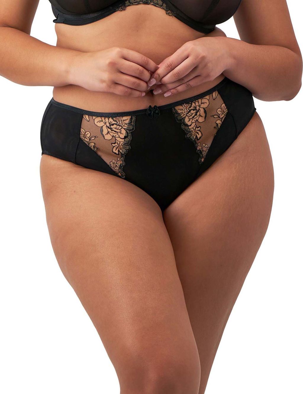Teagan Mesh Lace High Waisted Briefs