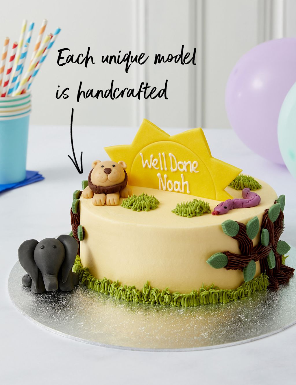 Personalised Safari Cake (Serves 20)