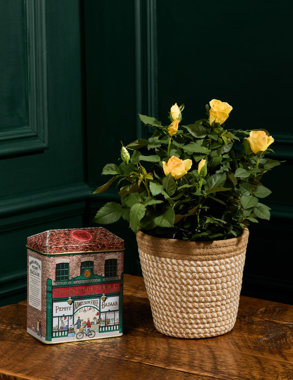 Rose Plant with Penny Bazaar Shortbread