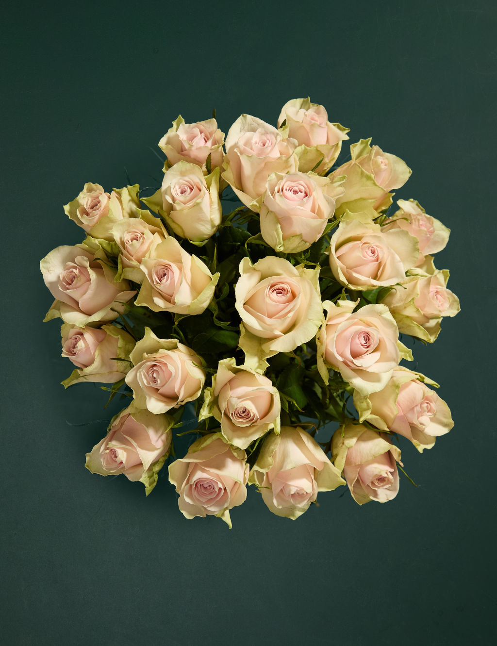 Blush Rose Abundance Bouquet