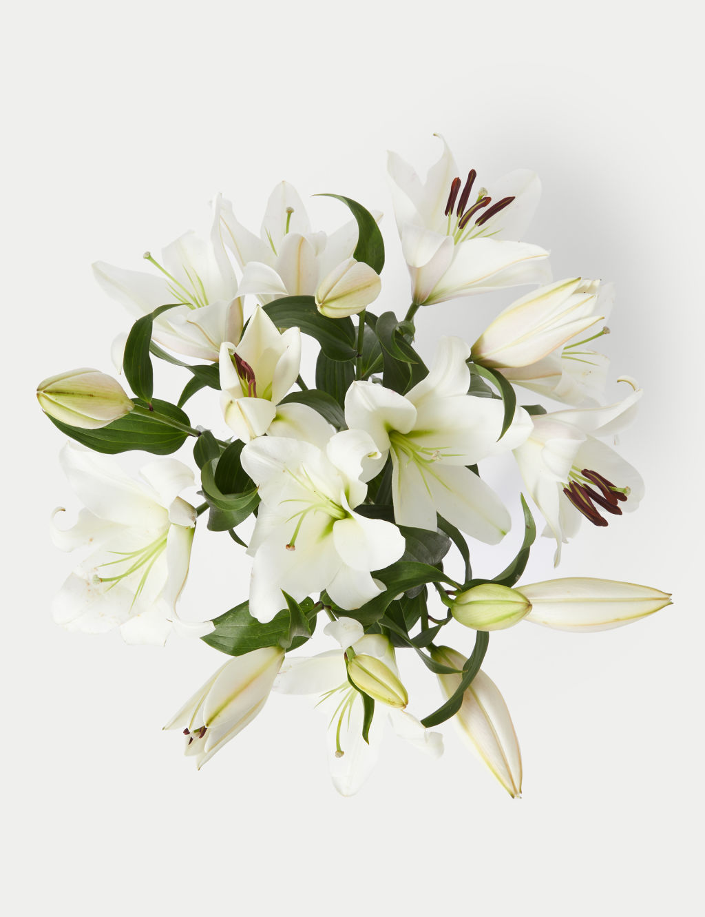 British White Lily Abundance Bouquet