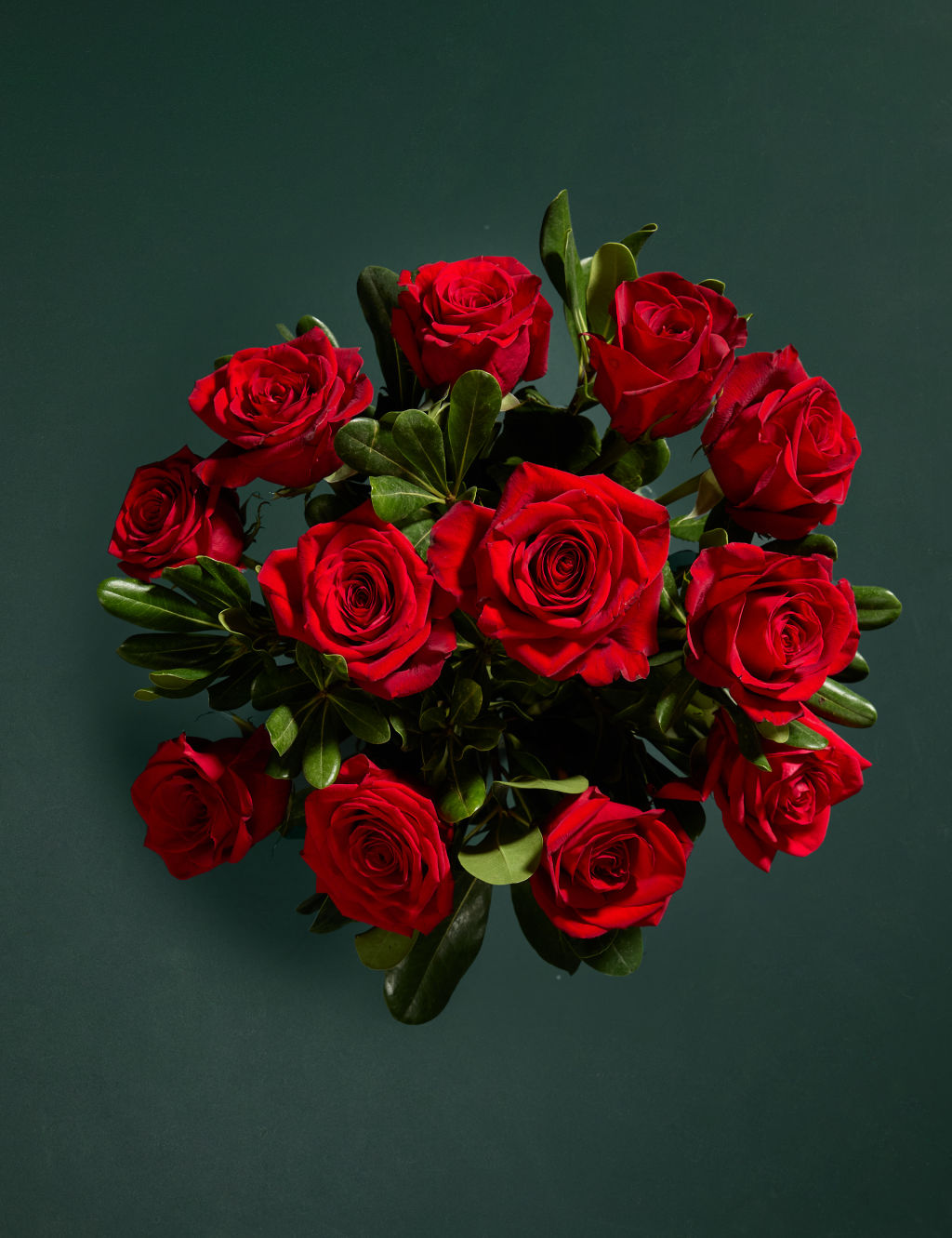 Dozen Rose Bouquet