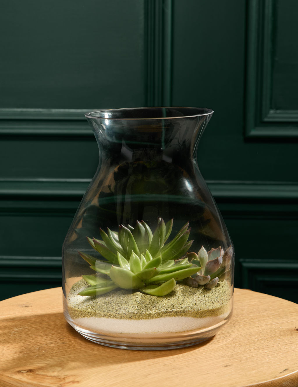 Succulent Bottle Garden Kit