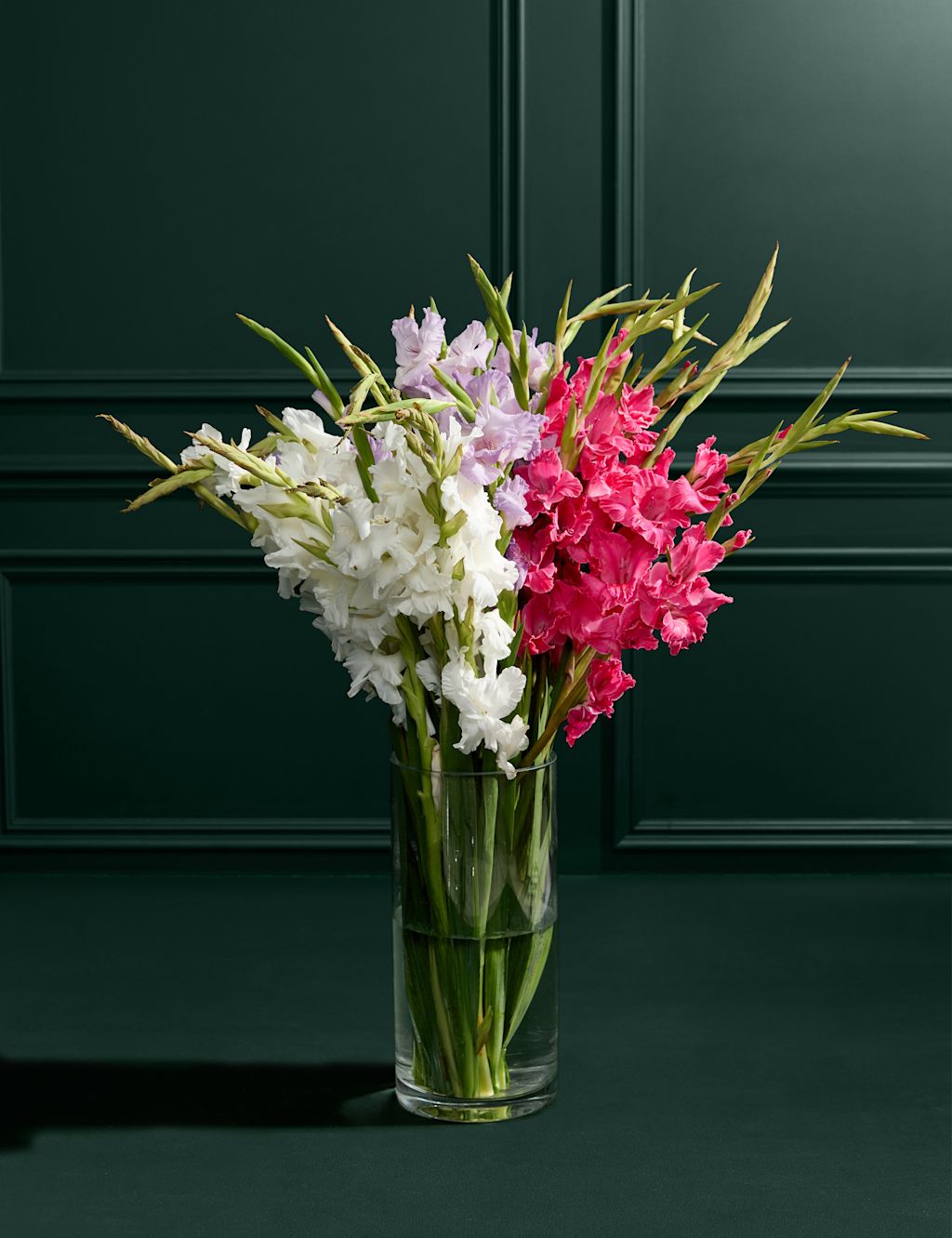 British Gladioli Abundance Flowers Bouquet