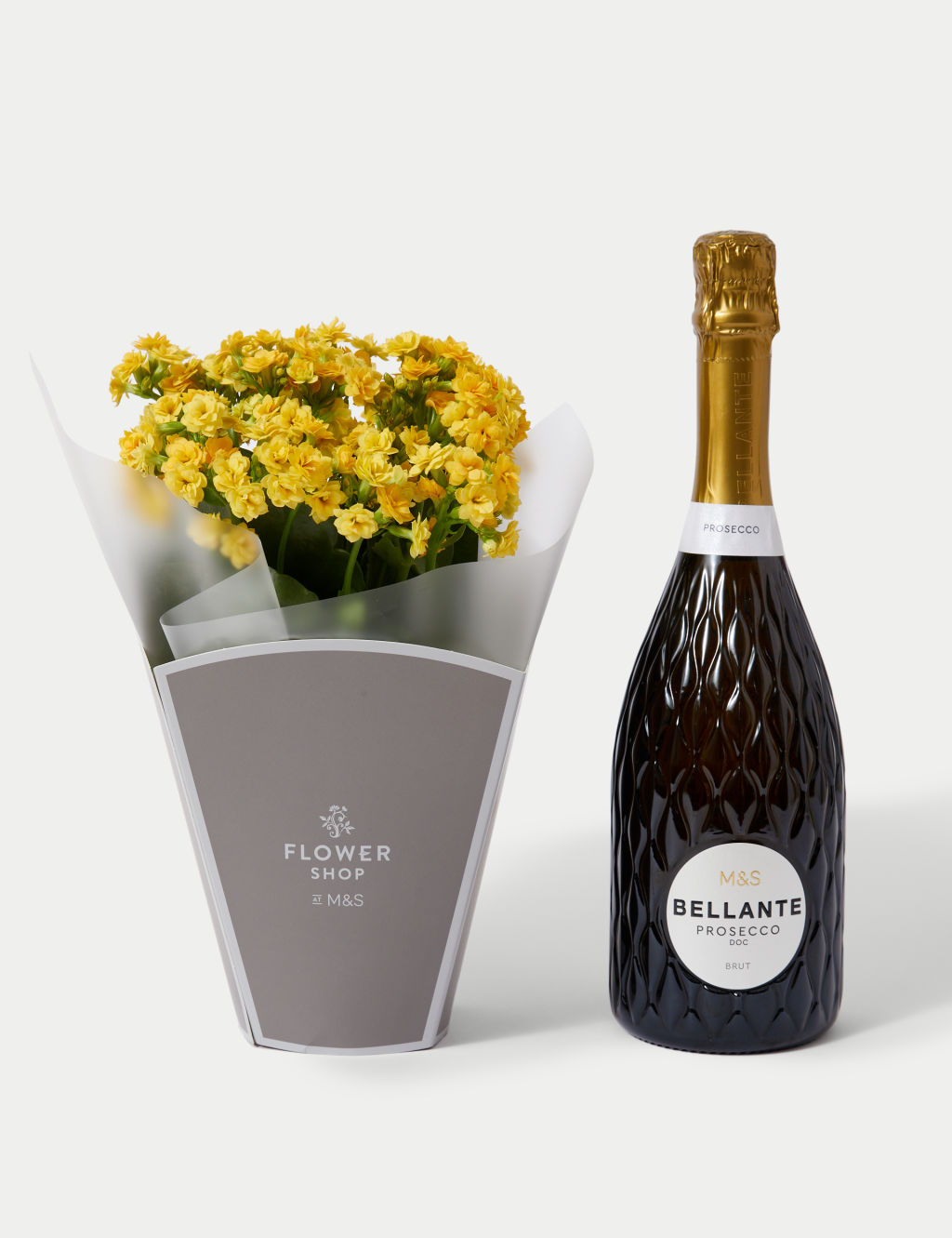 Kalanchoe Gift Bag with Bellante Prosecco 1 of 5