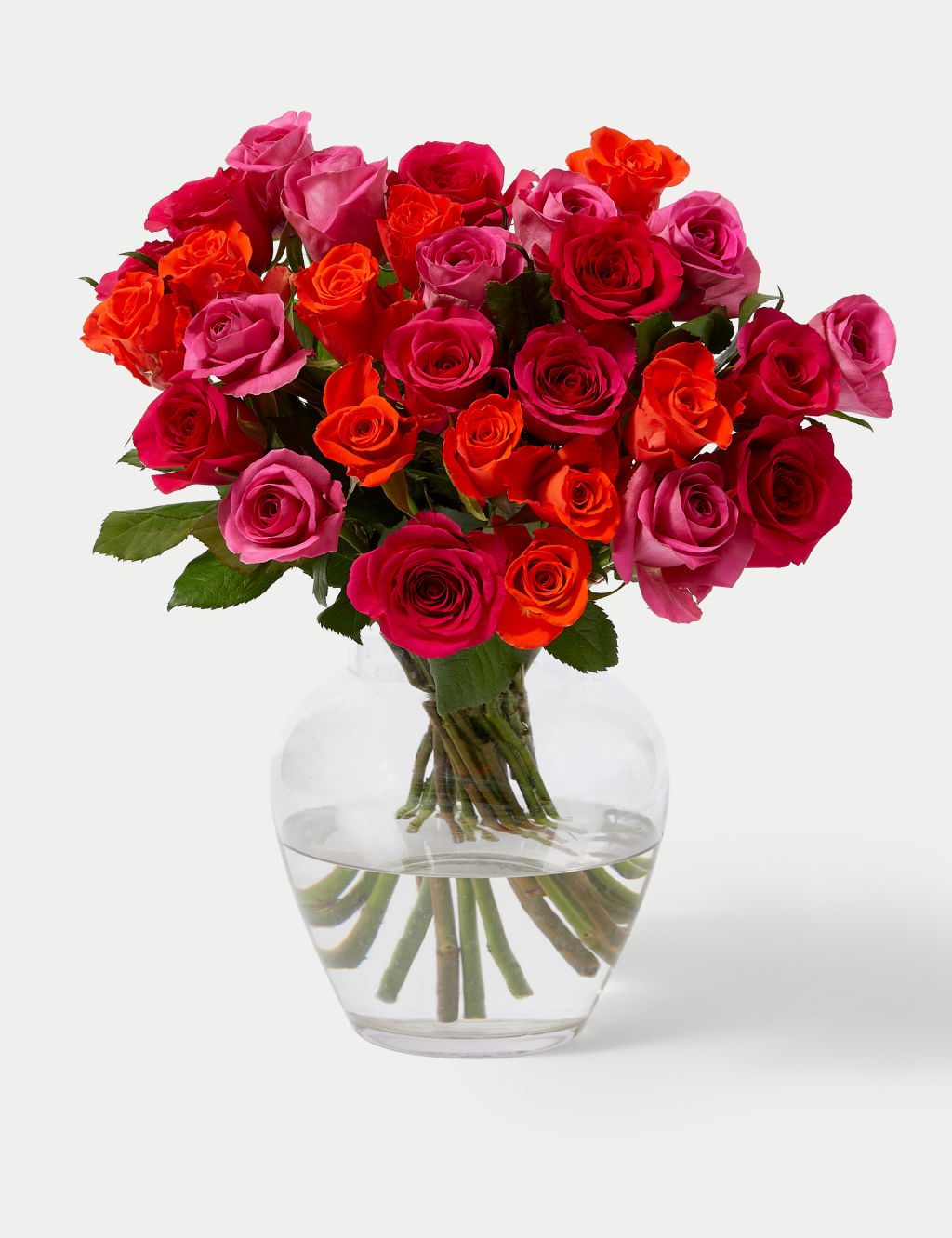 Radiant Rose Abundance Bouquet 4 of 6