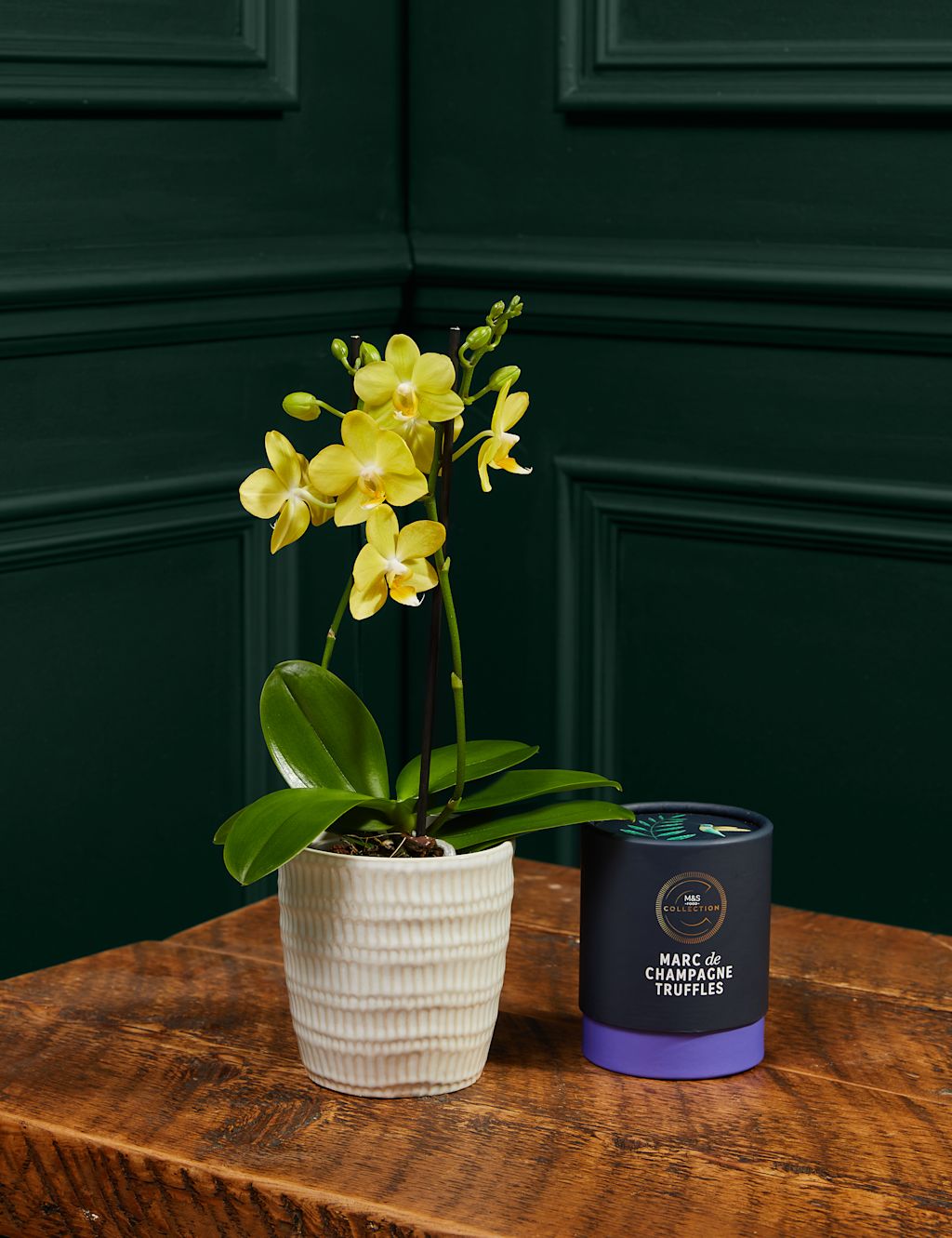 Miniature Yellow Phalaenopsis Orchid Ceramic & Cocoa Dusted Liquid Salted Caramels Bundle