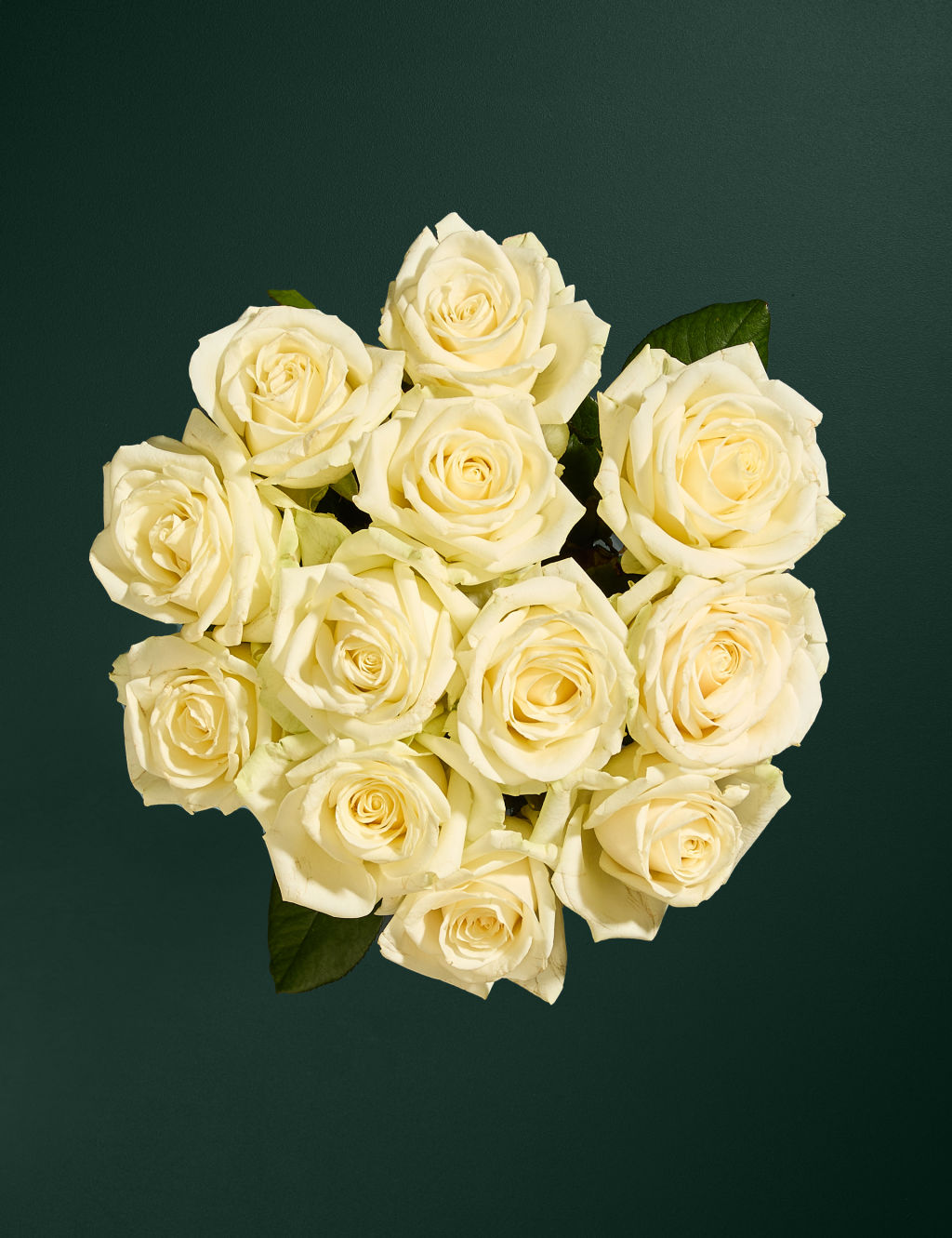 White Avalanche™ Rose Abundance