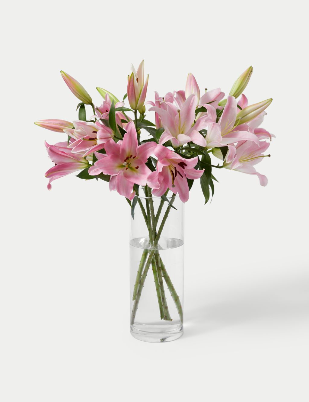 Pink Oriental Lily Abundance 2 of 5