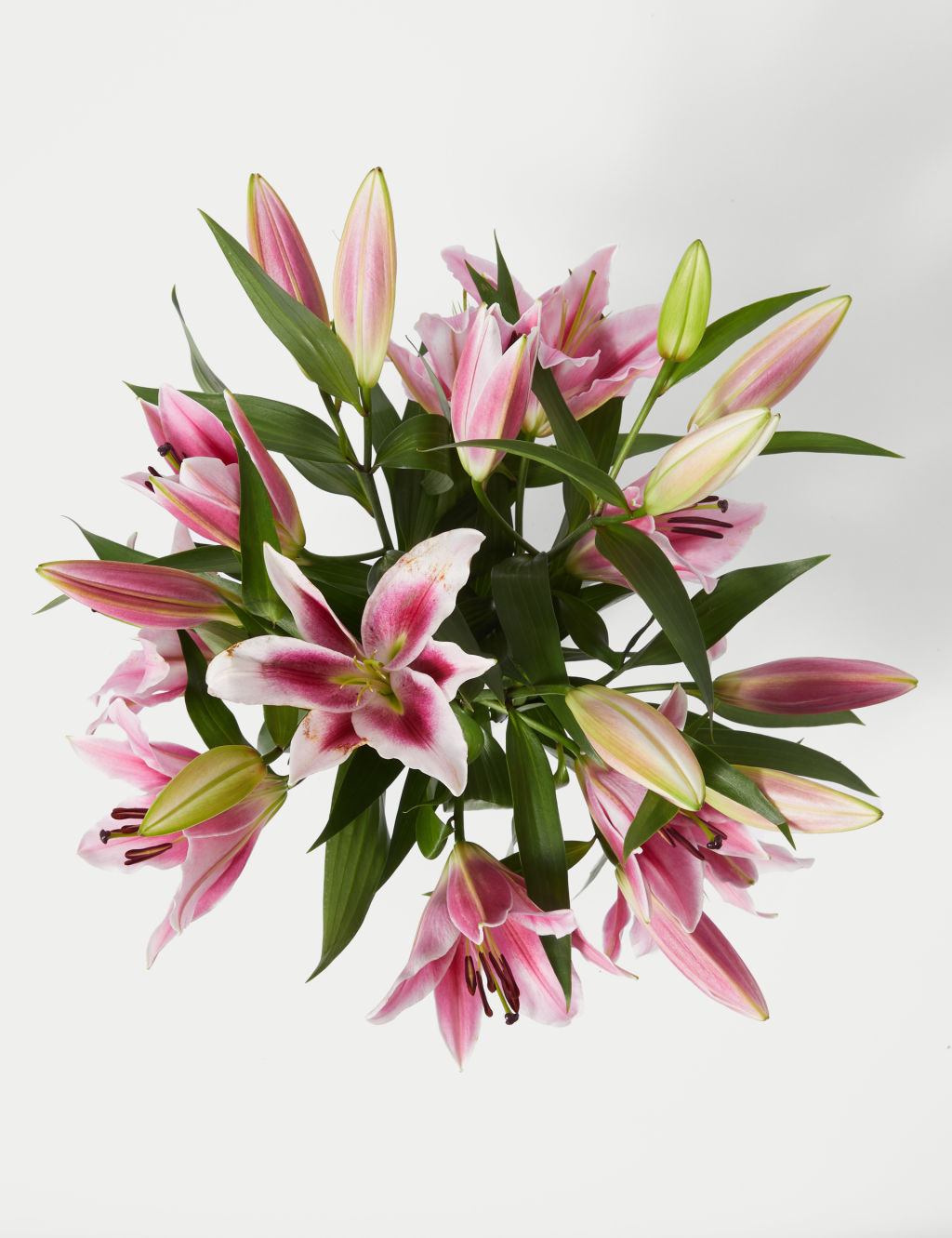 British Pink Lily Abundance Bouquet