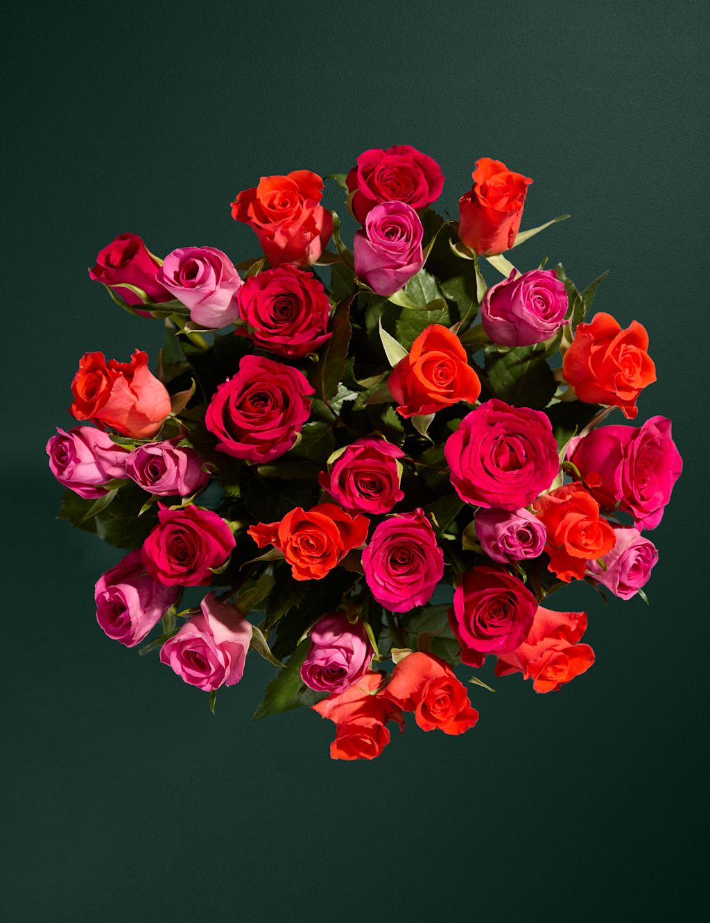 Radiant Rose Abundance with Belgian Classics