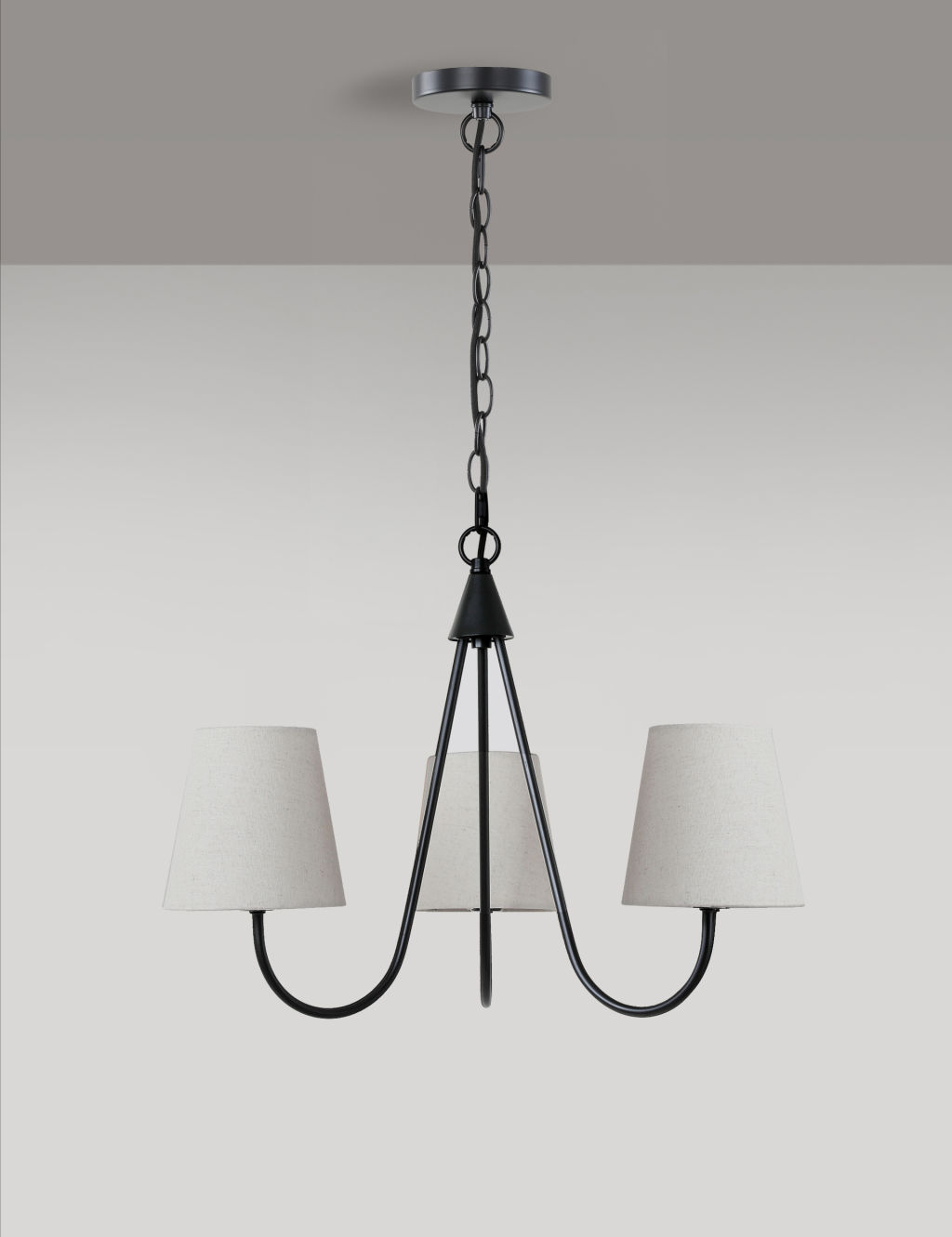 3 Shade Ceiling Light