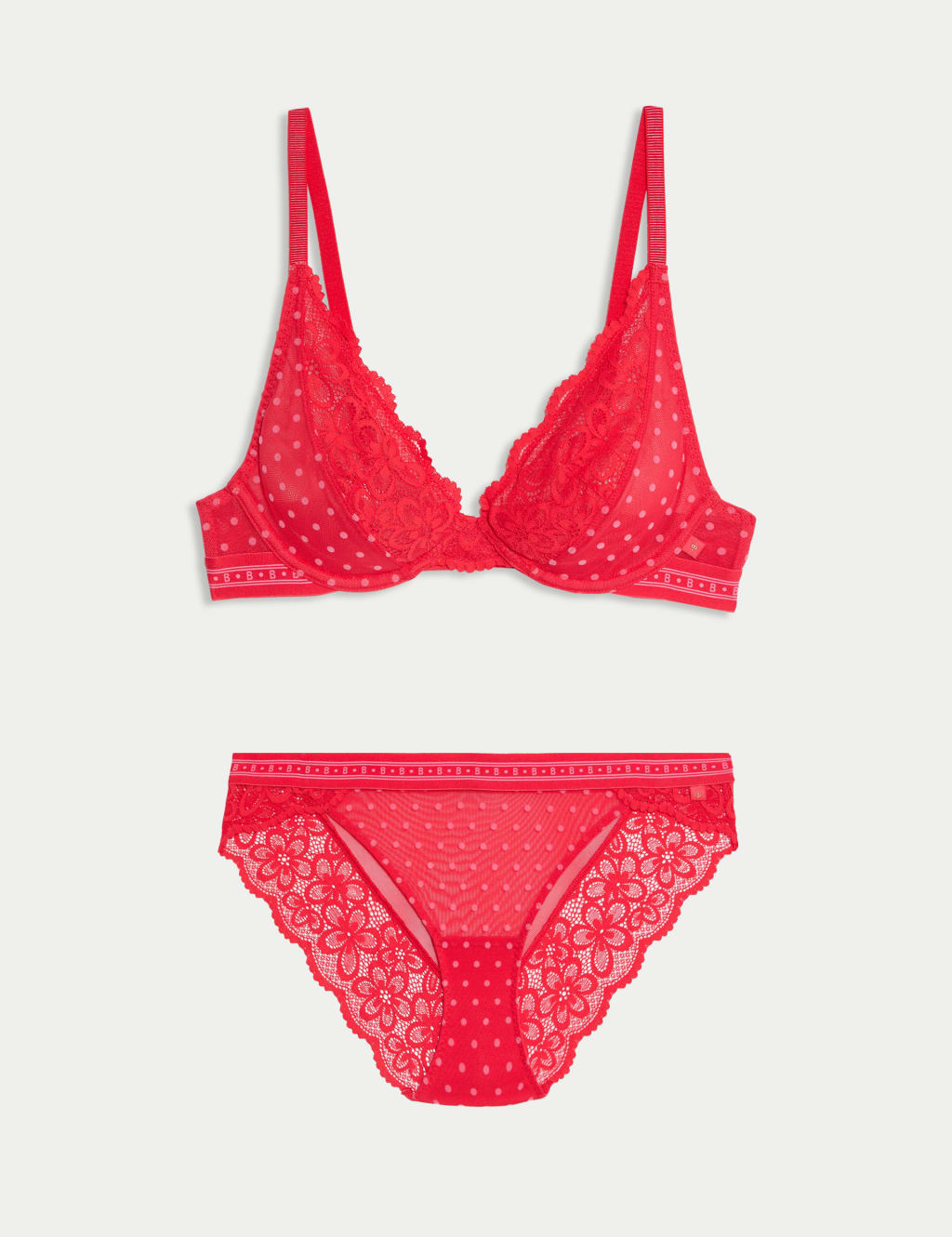 Alma Flock & Lace Wired Plunge Bra Set A-E 1 of 6