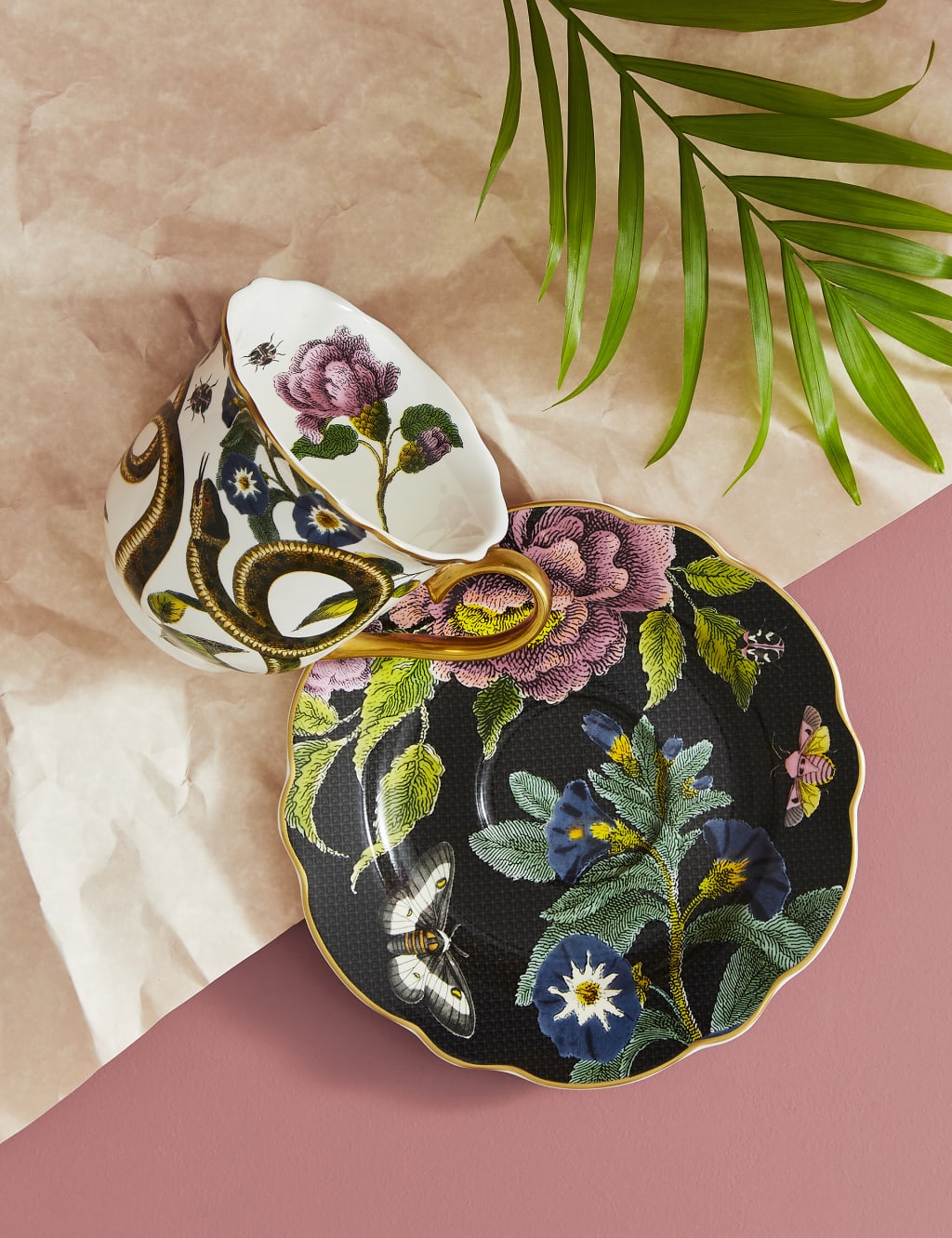 Creatures of Curiosity Dark Cup & Saucer