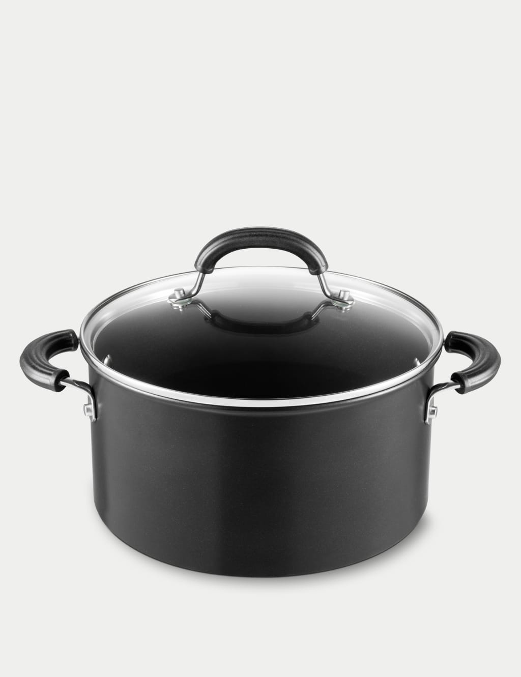 Total 24cm Induction Stock Pot with Lid