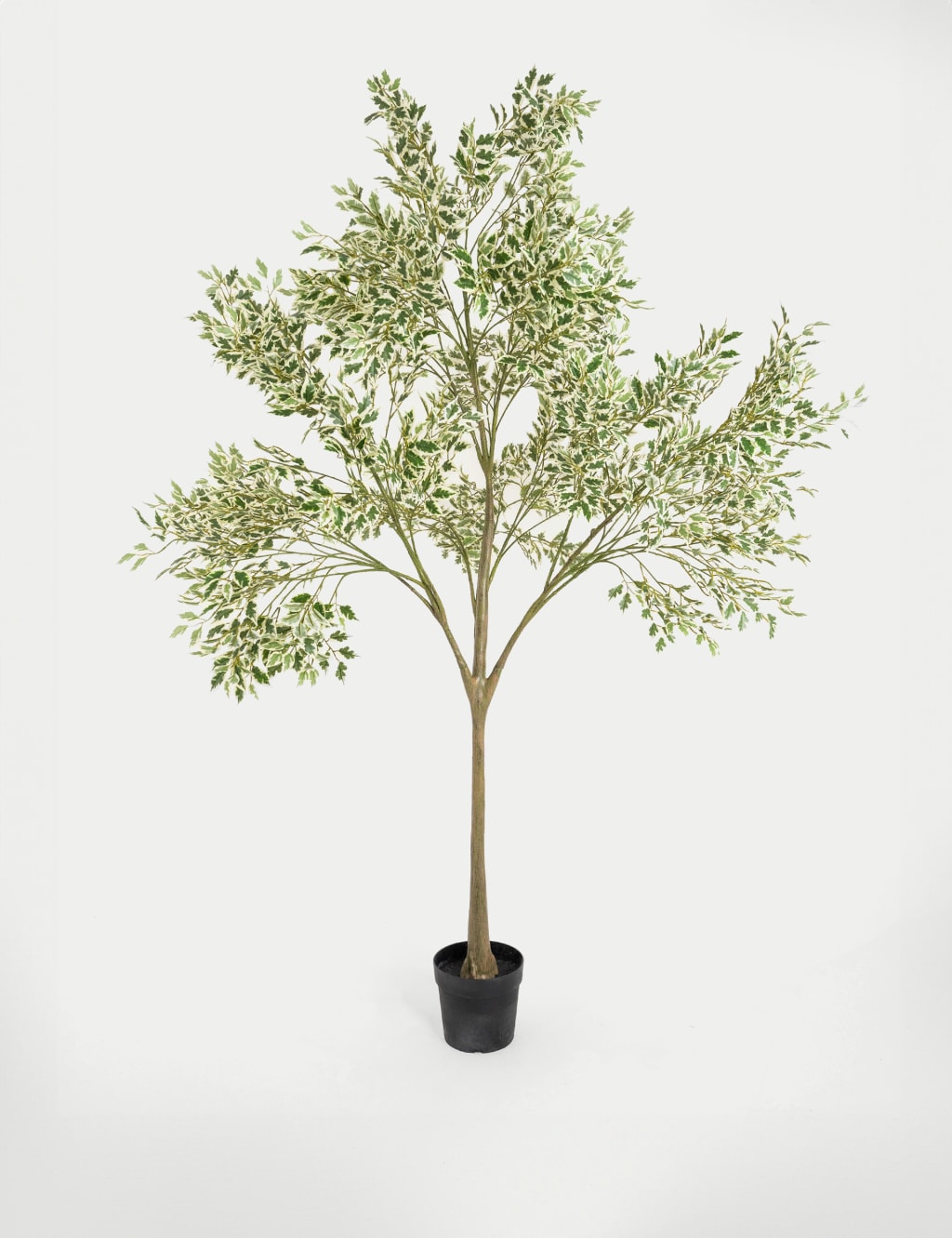 7ft Artificial Ficus Anastasia Tree in Pot