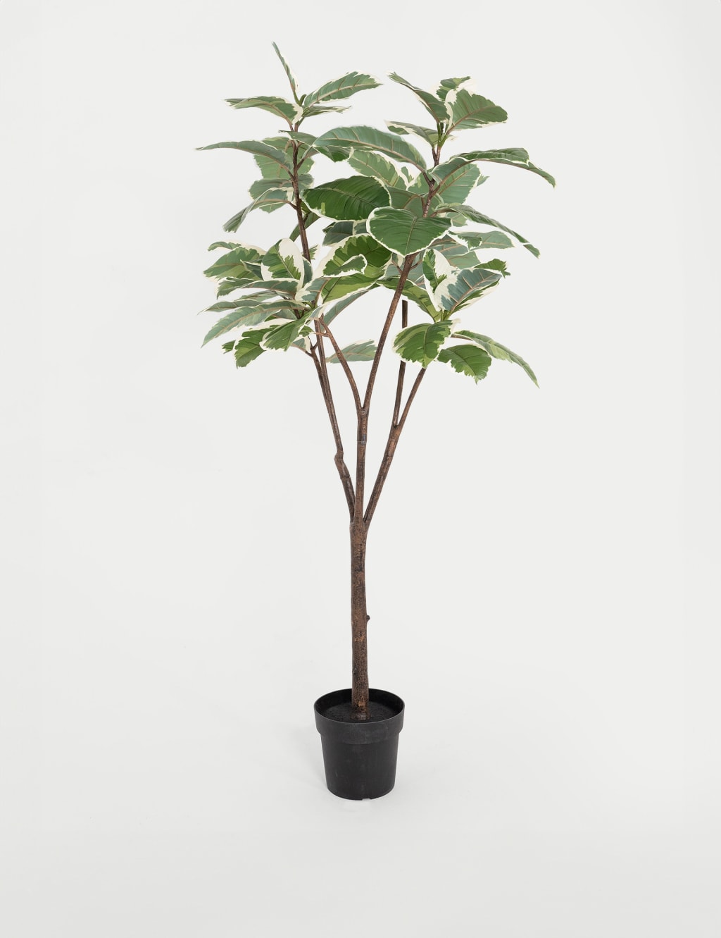 5.5ft Artificial Ficus Elastica Rubber Tree in Pot