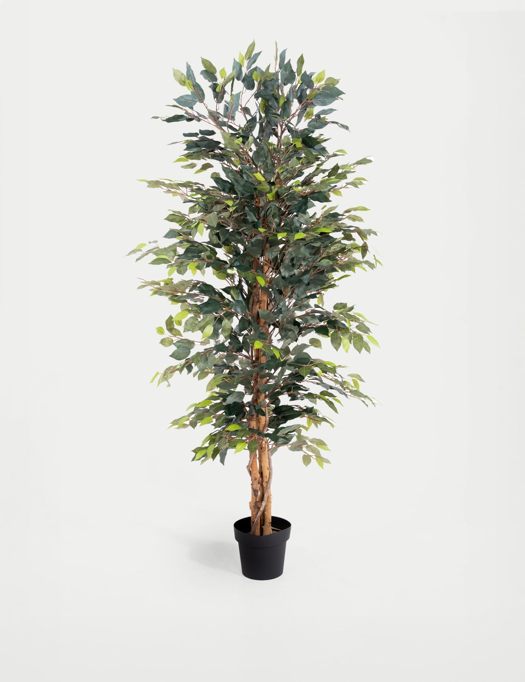 5ft Artificial Ficus Tree in Pot