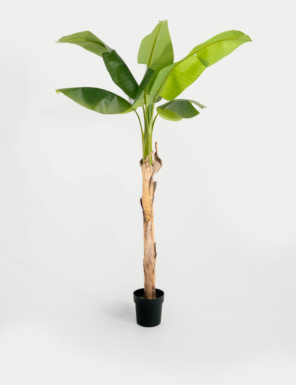 5.5ft Artificial Musa Banana Tree in Pot