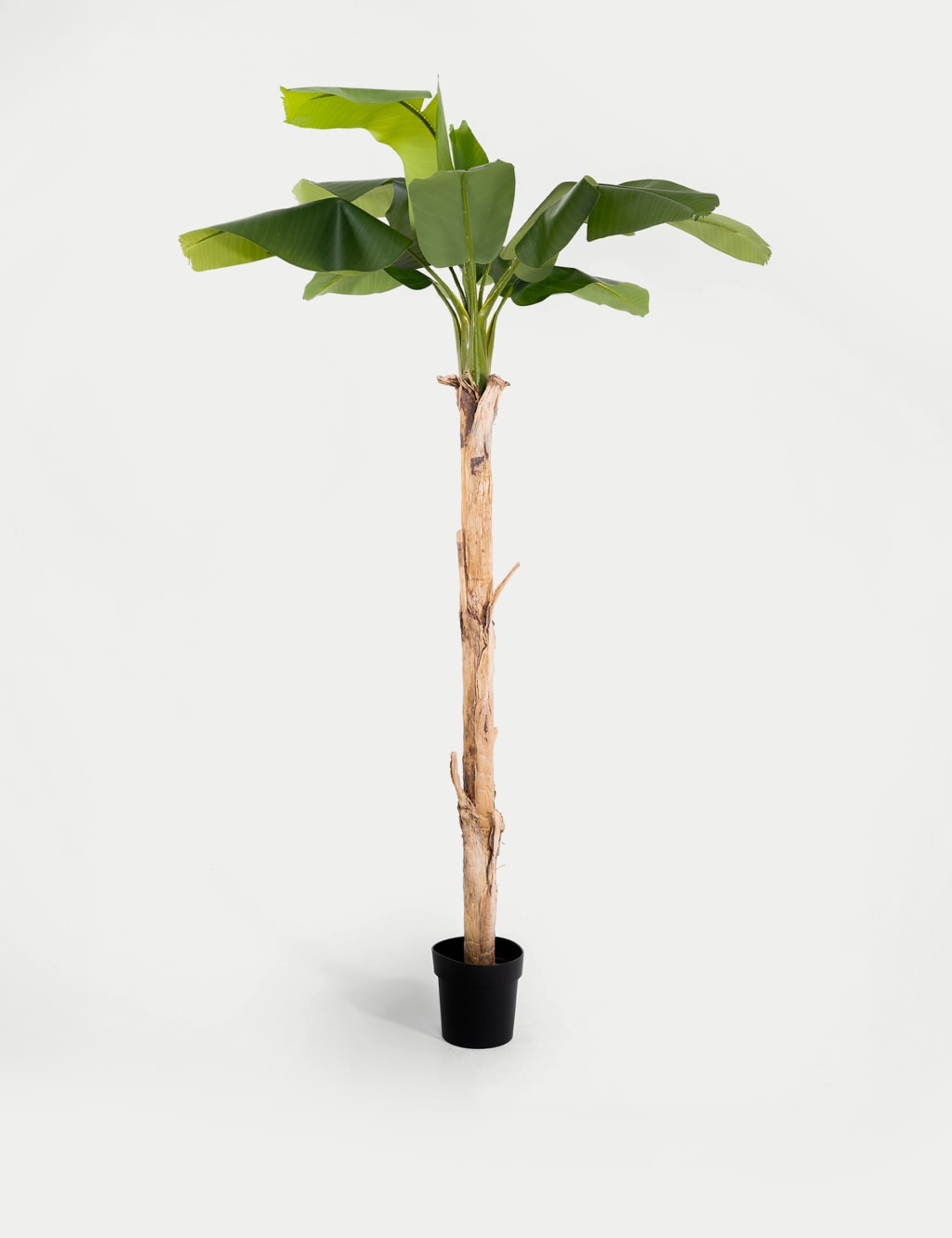 6ft Artificial Musa Banana Tree in Pot