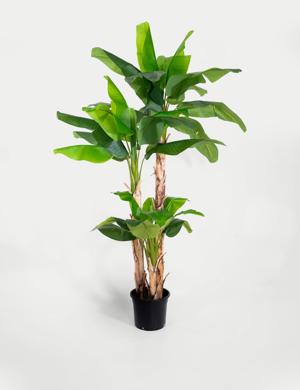 8ft Artificial Musa Basjoo Tree in Pot