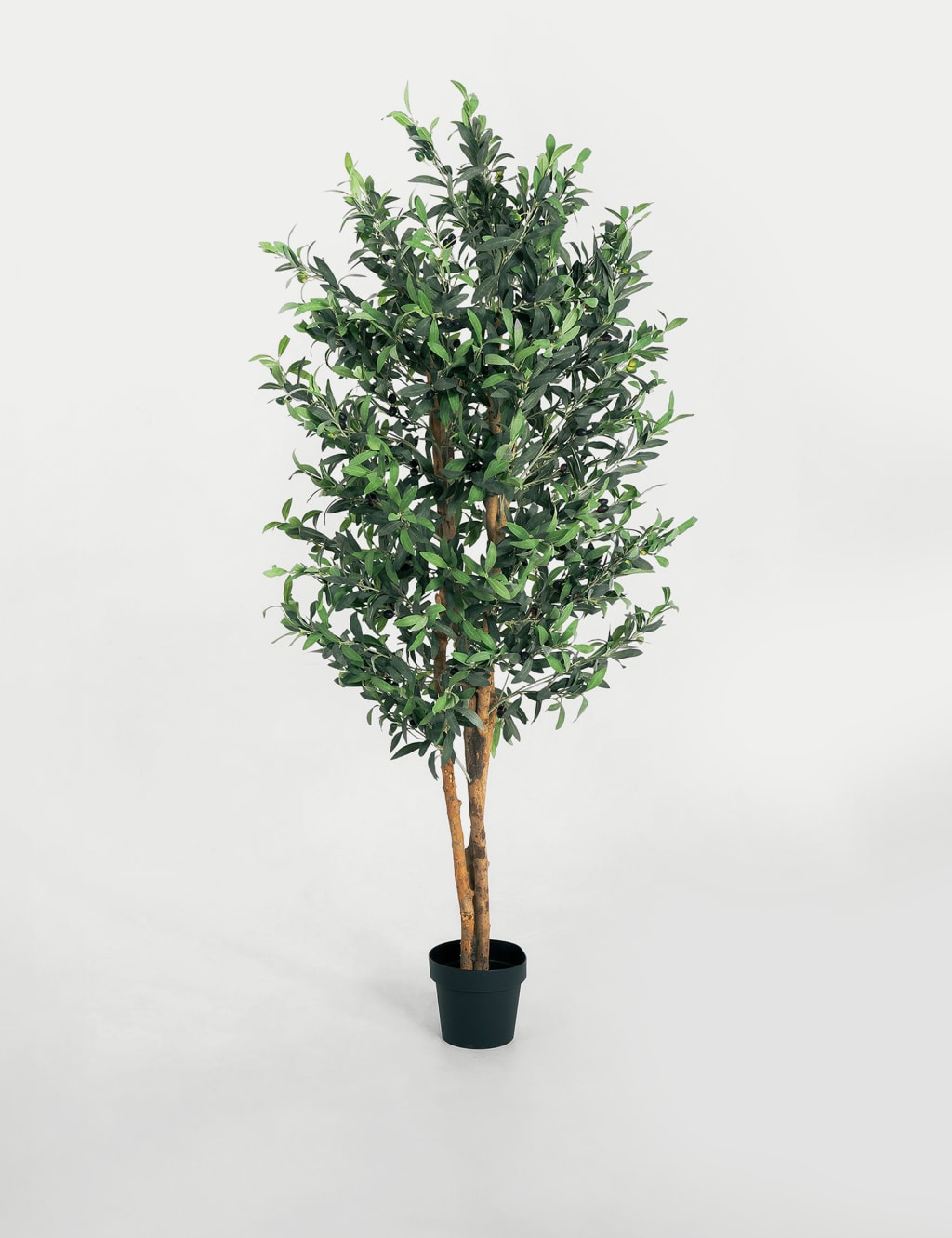 6ft Artificial Olive Tree in Pot