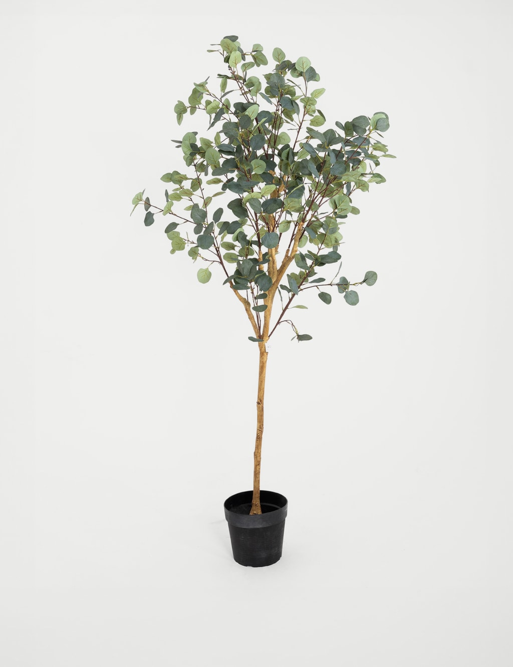 5.5ft Artificial Silver Dollar Eucalyptus Tree