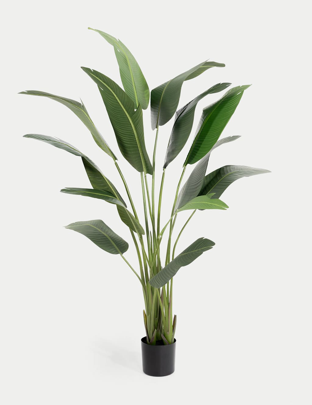 Blooming Artificial Artificial 7ft Strelitzia House Plant in Pot - Green - Available at M&S